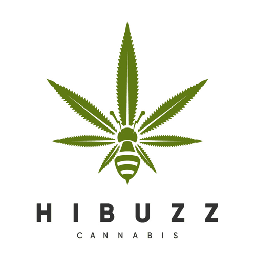 Hibuzz Logo