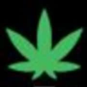 Cannabis Xpress Logo